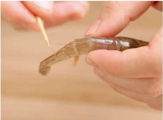 图片[2]-蒜蓉蒸虾怎么做-蒜蓉蒸虾的做法