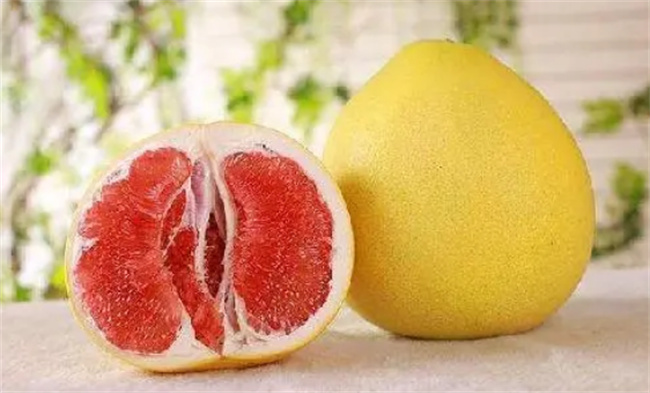图片[2]-柚子到底能不能帮助排便 吃柚子真的可以帮助减肥吗-锦囊菜谱
