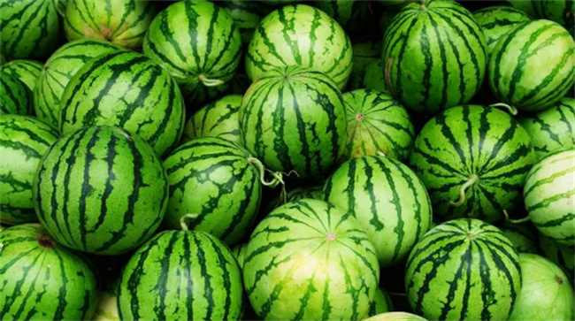 夏季吃西瓜对身体有什么好处 夏天吃西瓜可以减肥吗-锦囊菜谱