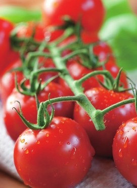 图片[2]-冬瓜番茄汤-锦囊菜谱