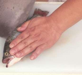 图片[3]-豉汁蒸鲈鱼怎么做-豉汁蒸鲈鱼的做法