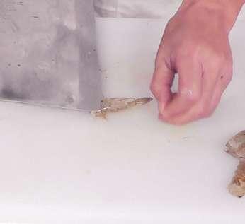 图片[3]-蒜蓉豆豉蒸虾怎么做-蒜蓉豆豉蒸虾的做法
