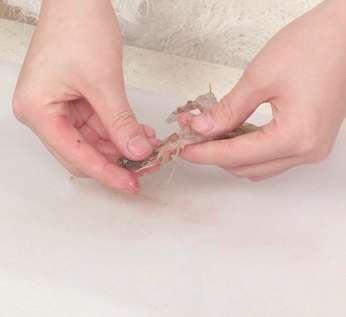 图片[3]-清蒸蒜蓉开背虾-锦囊菜谱